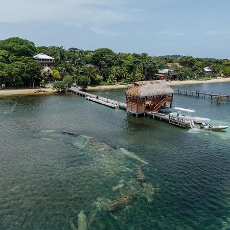 Tranquilseas Eco Lodge & Dive Center Sandy Bay Kültér fotó