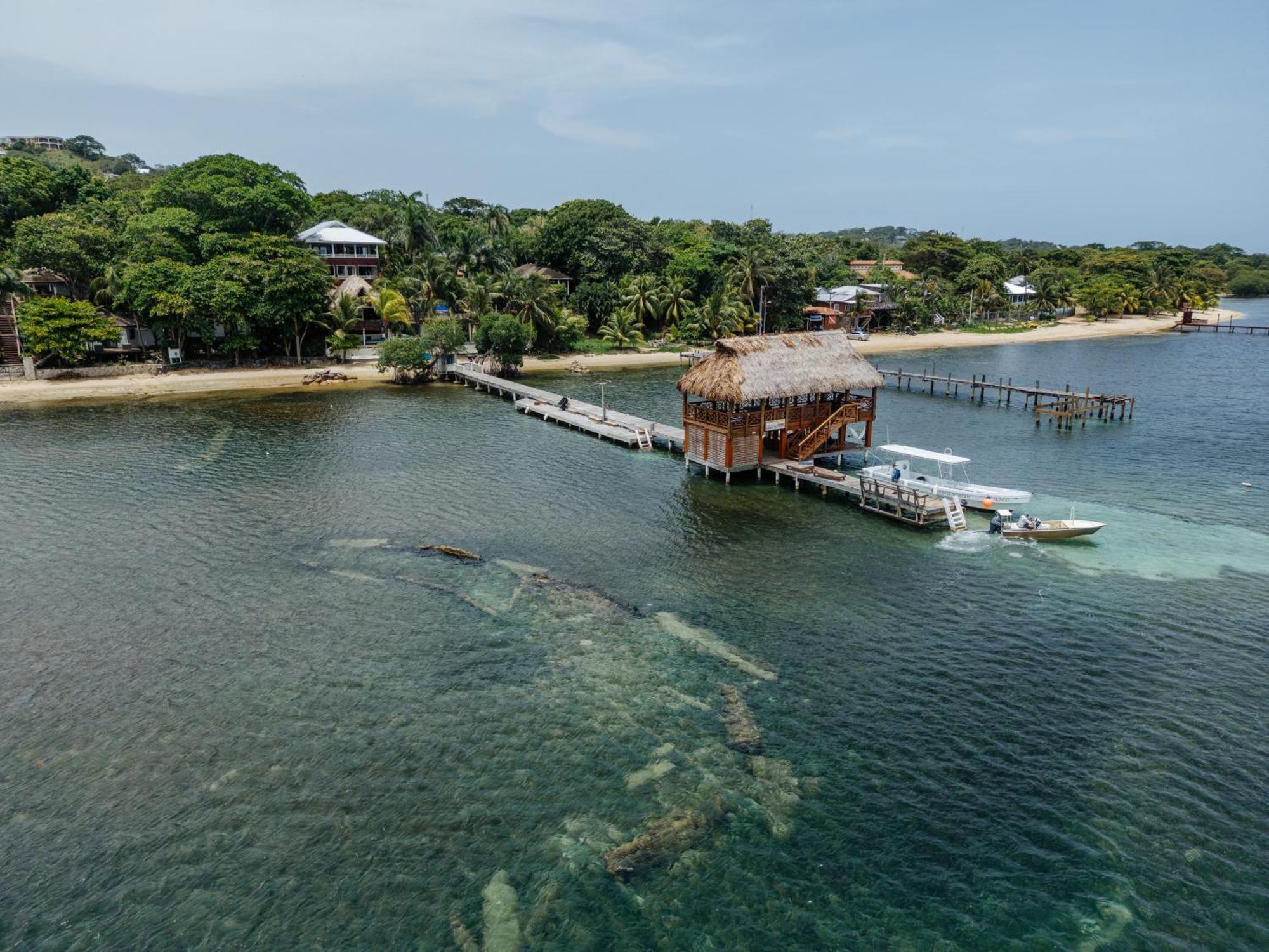 Tranquilseas Eco Lodge & Dive Center Sandy Bay Kültér fotó