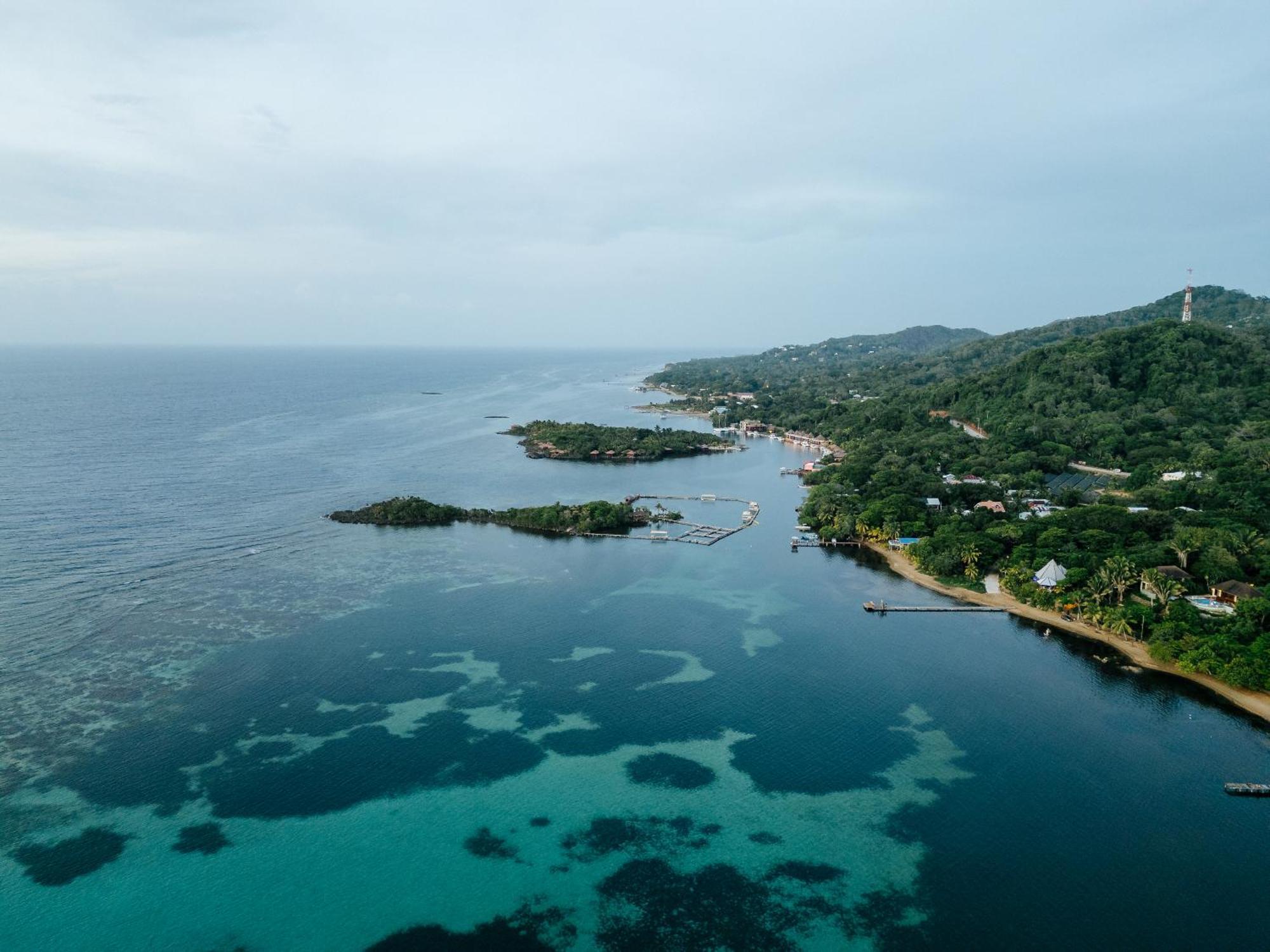 Tranquilseas Eco Lodge & Dive Center Sandy Bay Kültér fotó